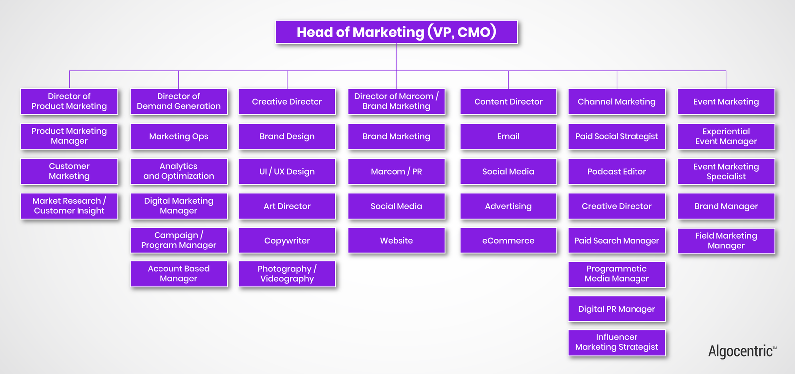 SaaS Marketing Organization