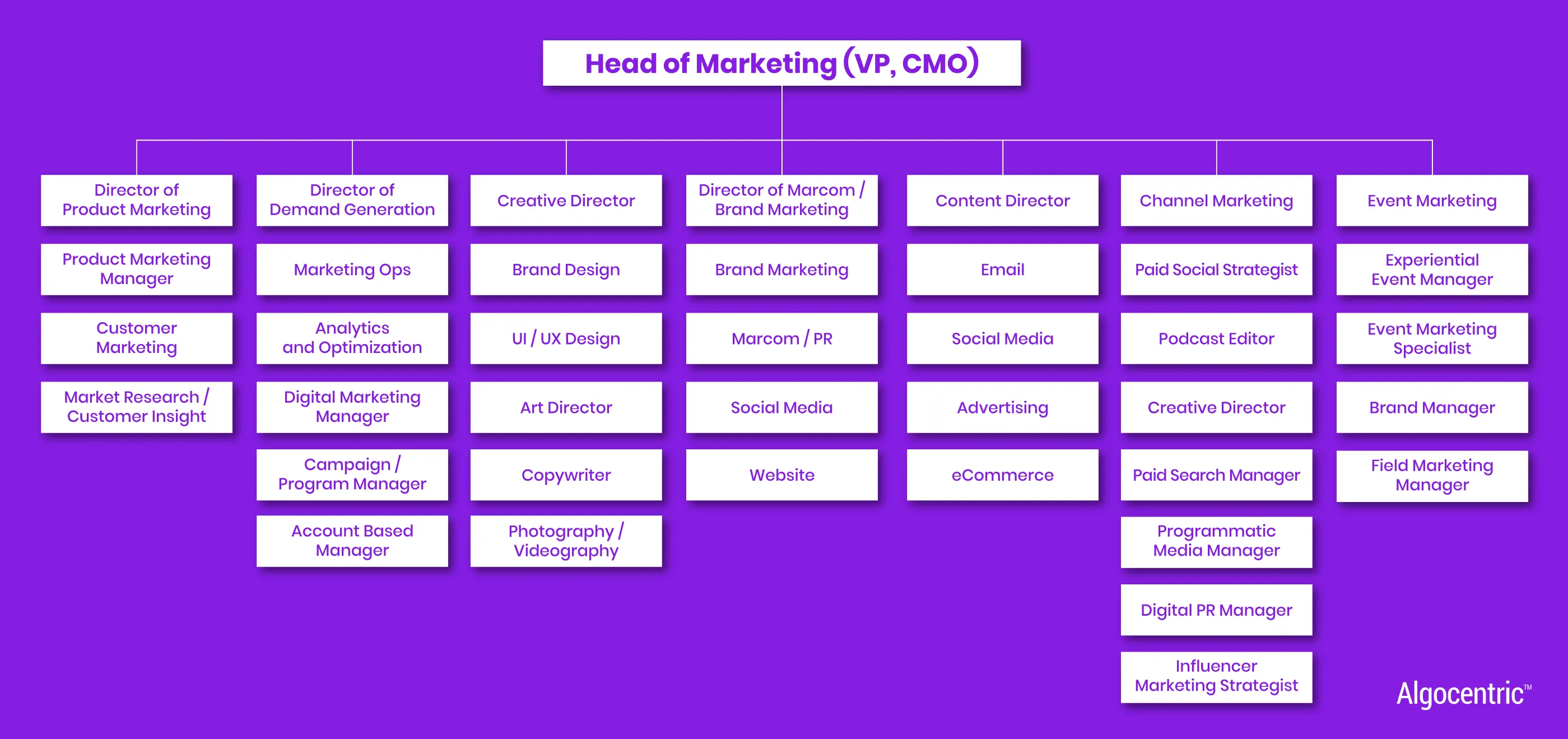 B2B SaaS Marketing Plan Template you need