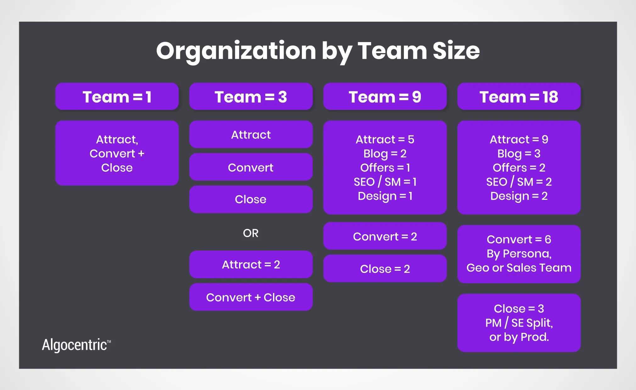 B2B SaaS organization by team size
