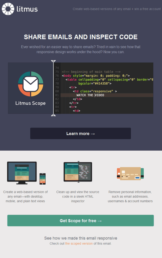 Litmus email marketing